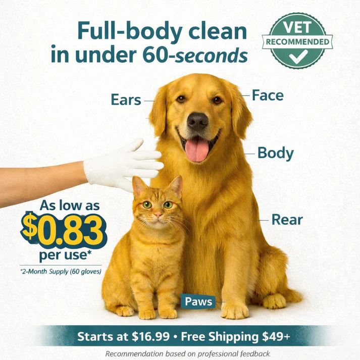 Hypoallergenic Pet Cleaning Glove Wipes (Pack of 6)